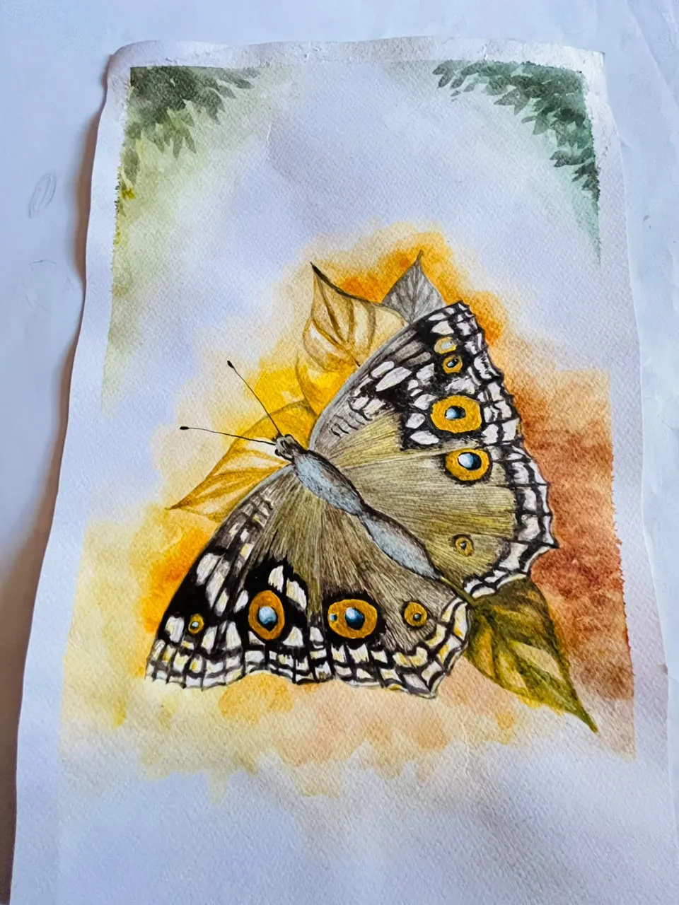 Wild Life Artwork 10